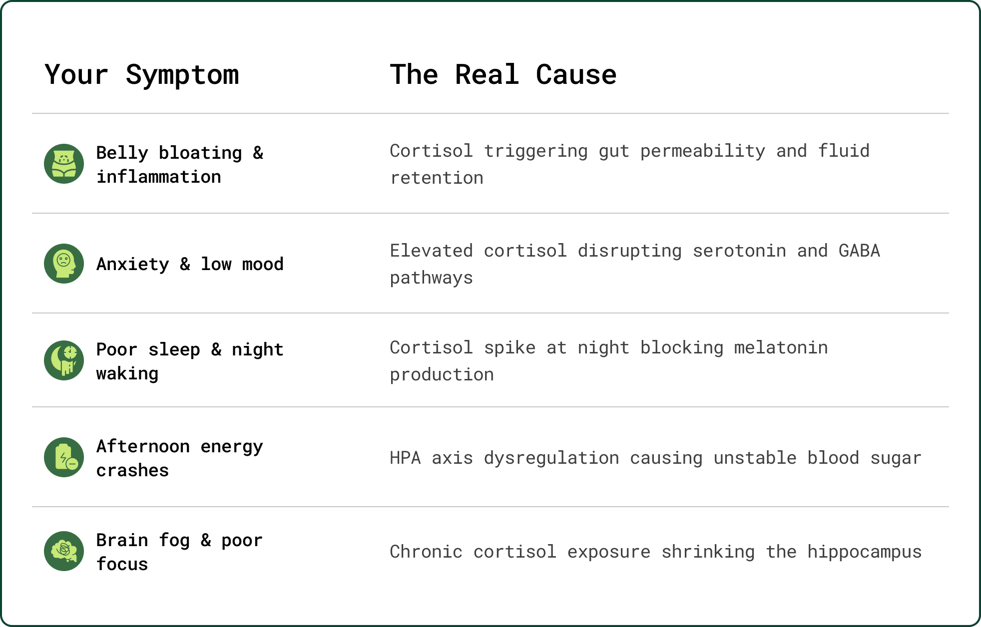 How stress, gut health and energy are connected