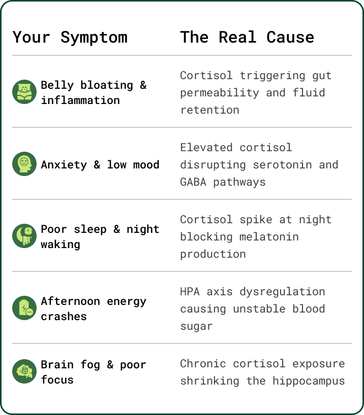 How stress, gut health and energy are connected