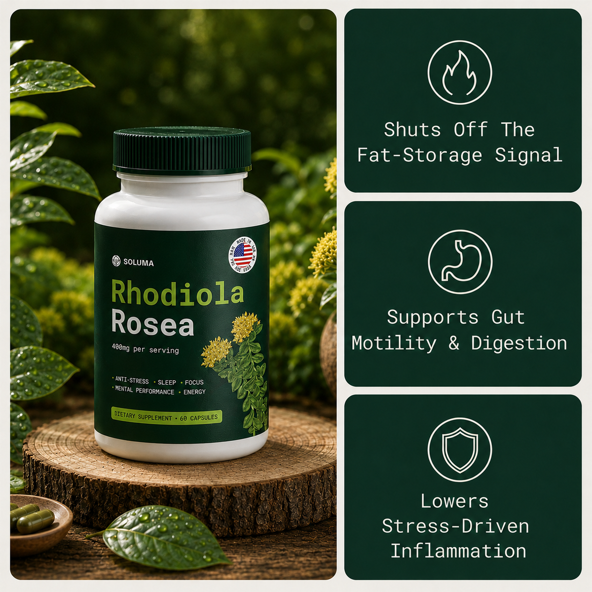 Soluma Rhodiola – Naturally Lowers Cortisol To Help Restore Balance Inside and Out