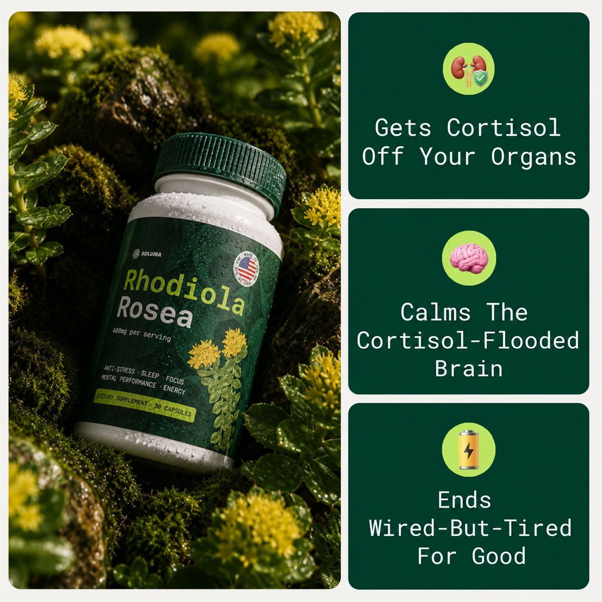 Rhodiola Rosea 400mg — Get Cortisol Off Your Organs | Made in USA